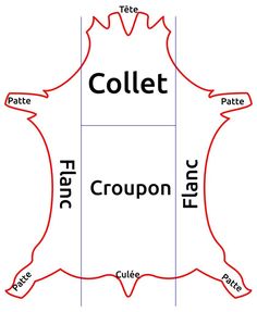 Les différentes parties du cuir